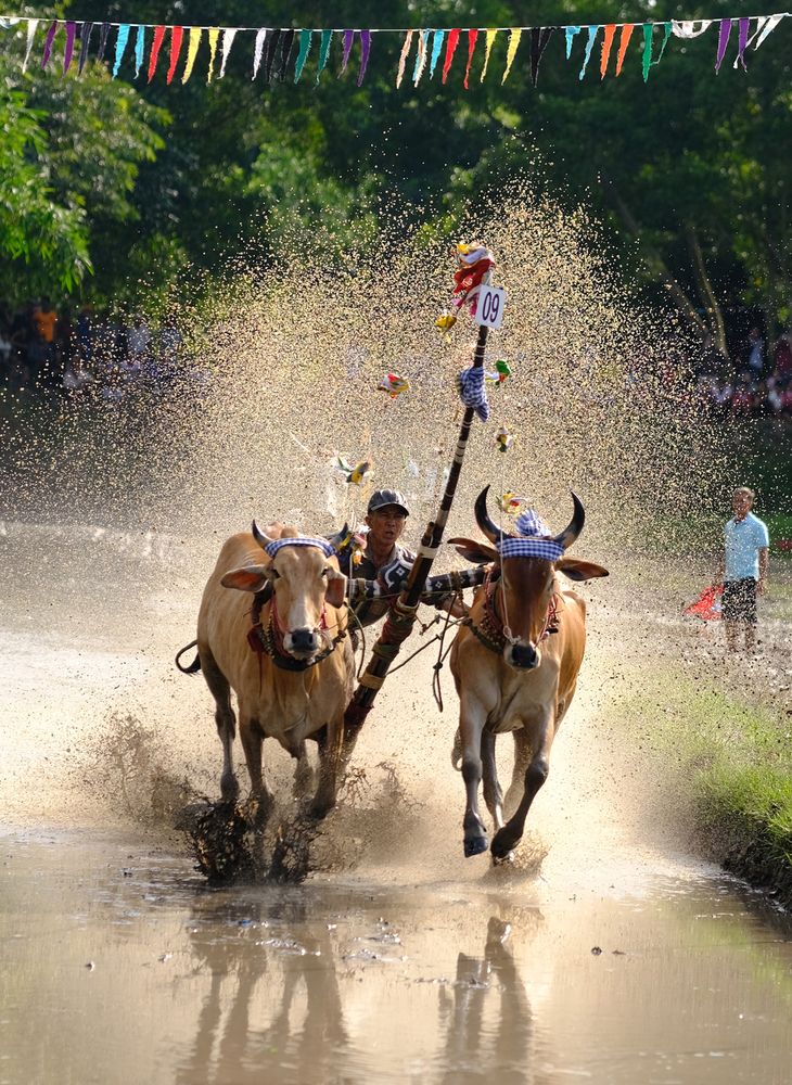 Photograph by Nguyen Hai Duong
