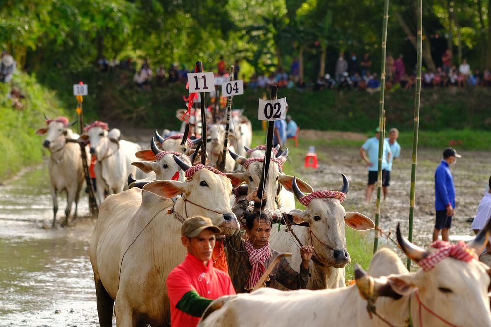 Photograph by Nguyen Hai Duong