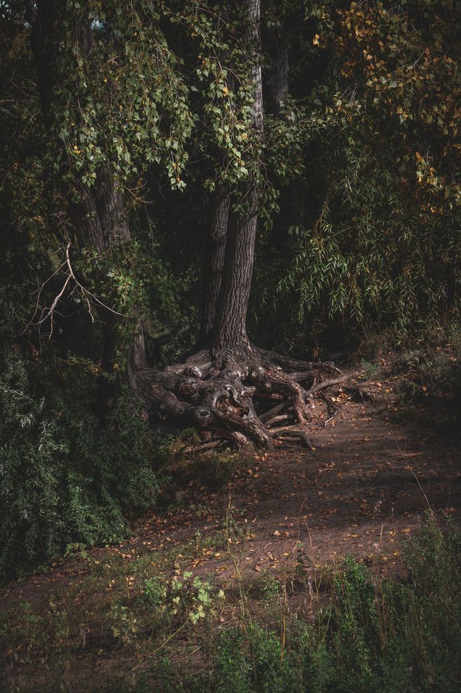 Photograph by Ольга Андронова