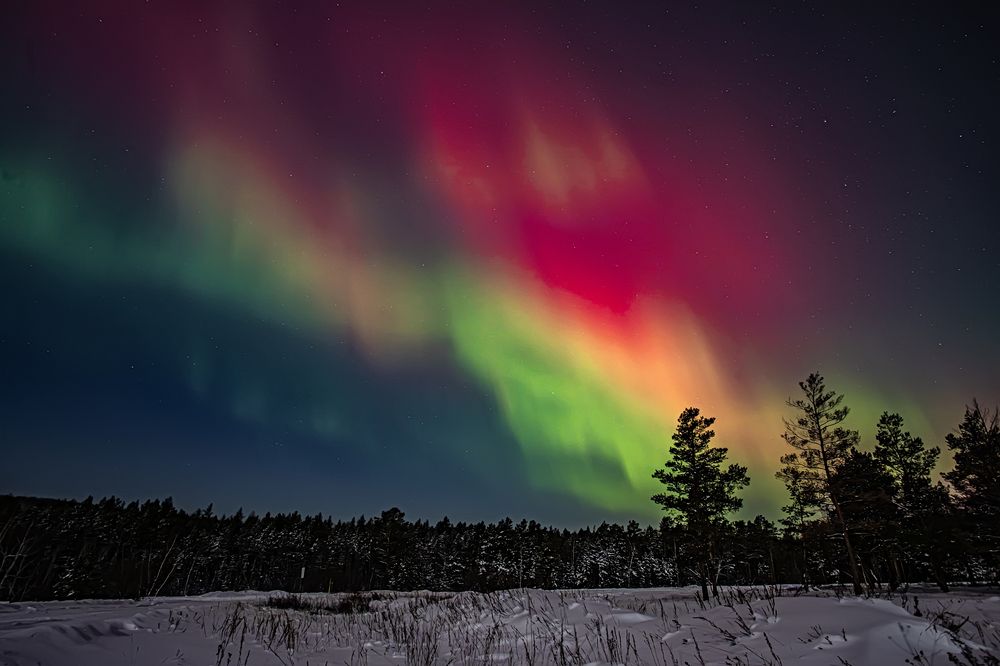 Photograph by Галина Мозолевская