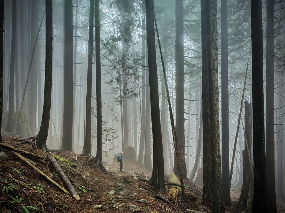 Photograph by Marina Poushkina