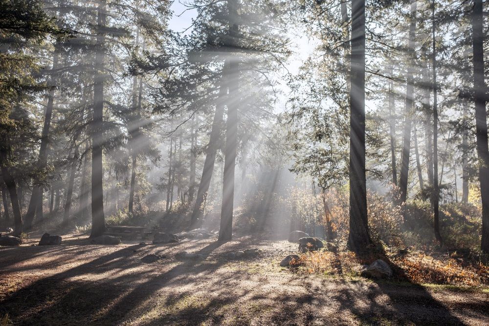 Photograph by Marina Poushkina