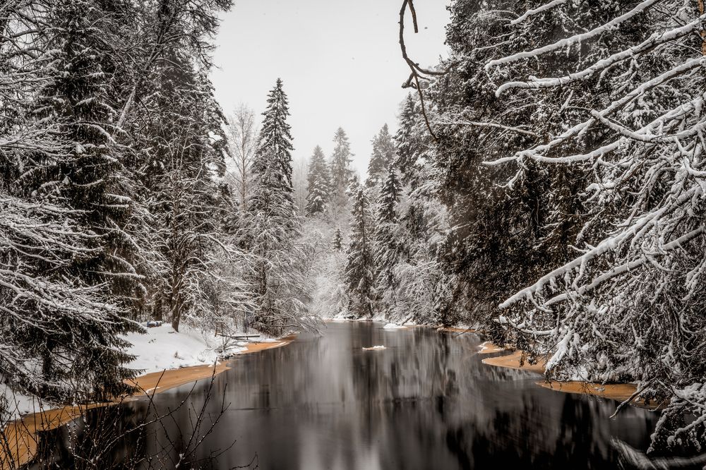 Photograph by Dark Ambient