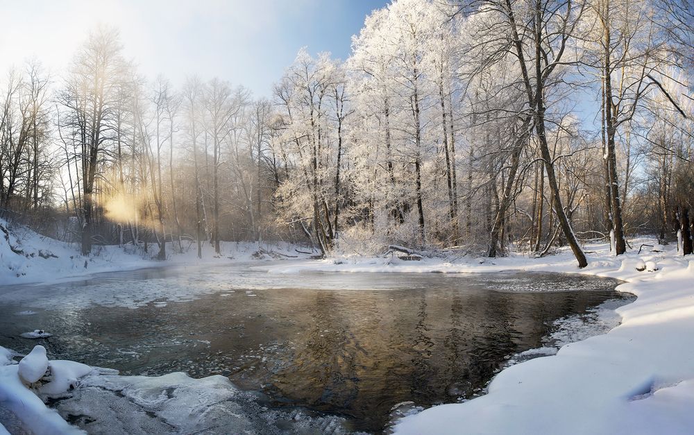 Photograph by Людмила Железнова