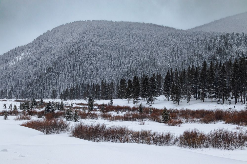 Photograph by Анатолий Костерев