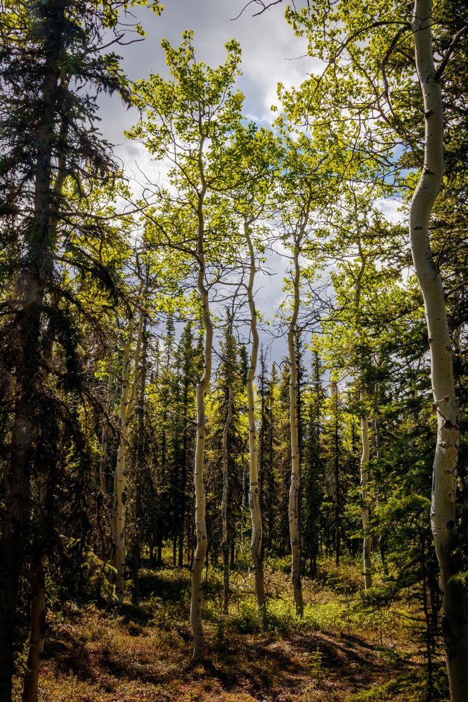 Photograph by Анатолий Костерев