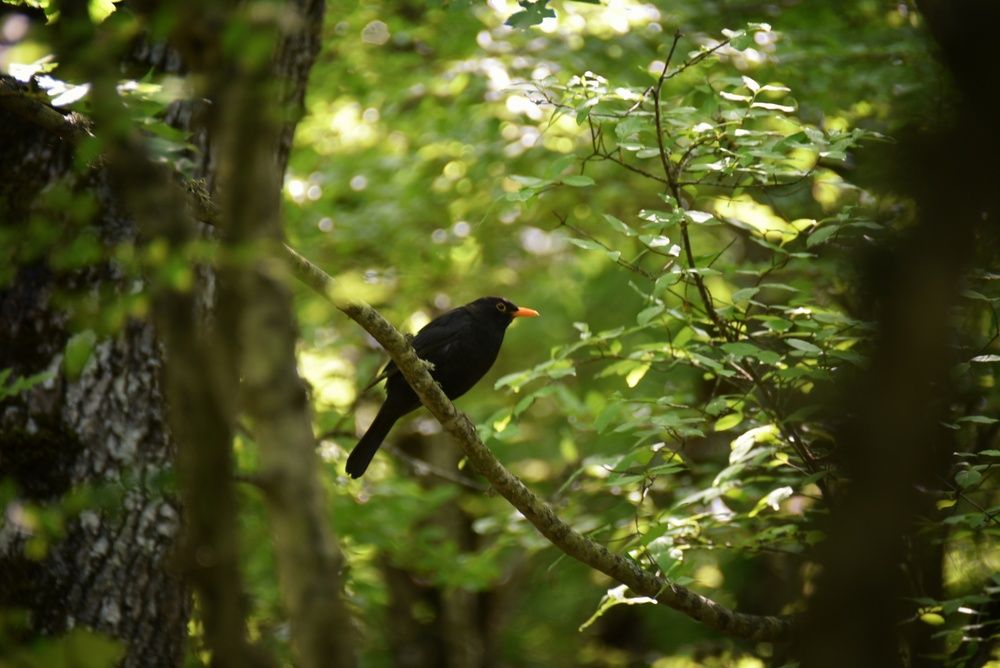 Фотография автора Мария