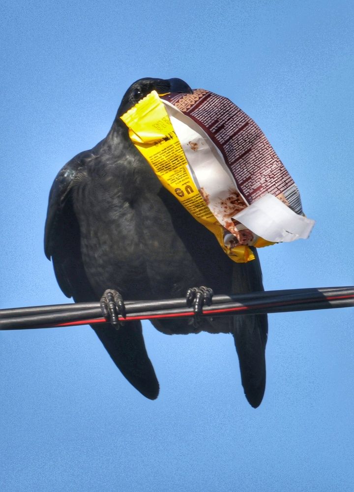 Все в хозяйстве пригодится