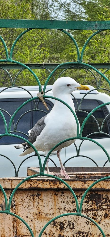 Фотография автора Юлия Егорова