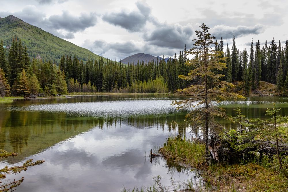 Photograph by Анатолий Костерев