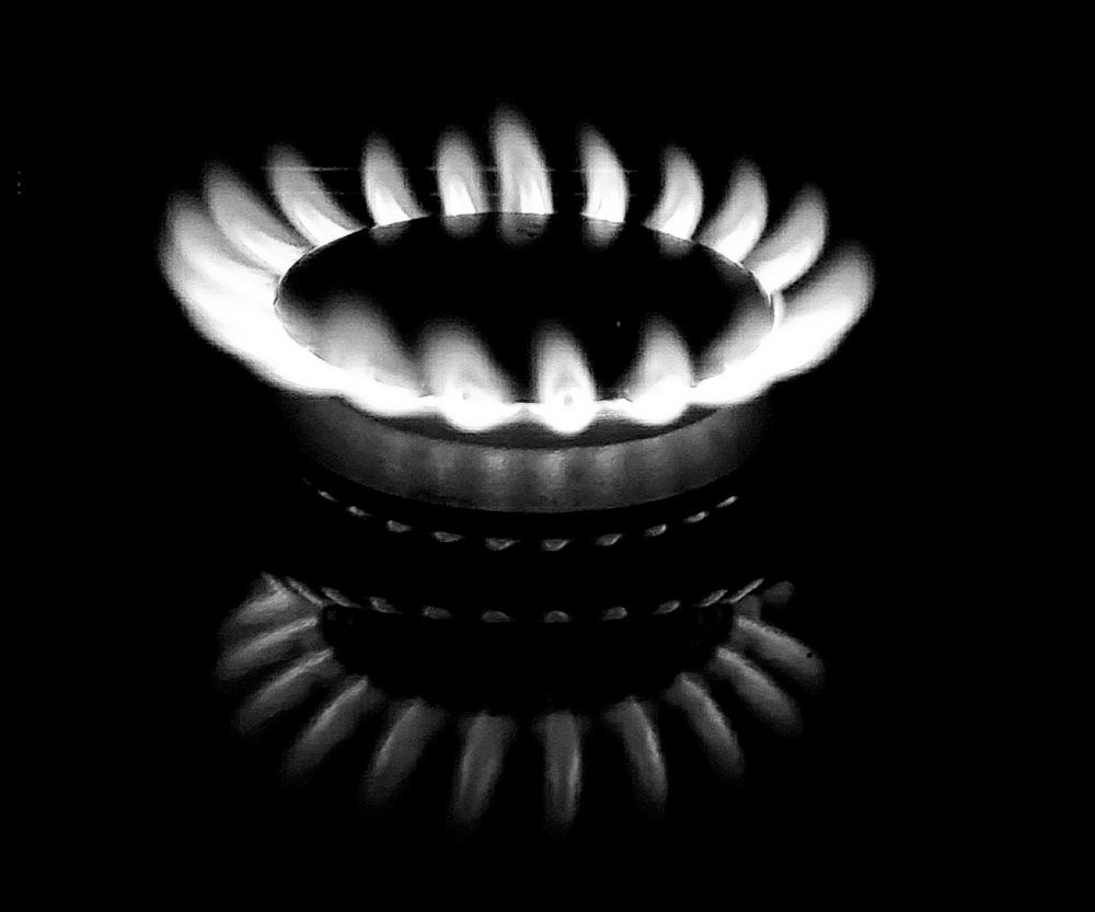 Photograph by Dennise Treijs