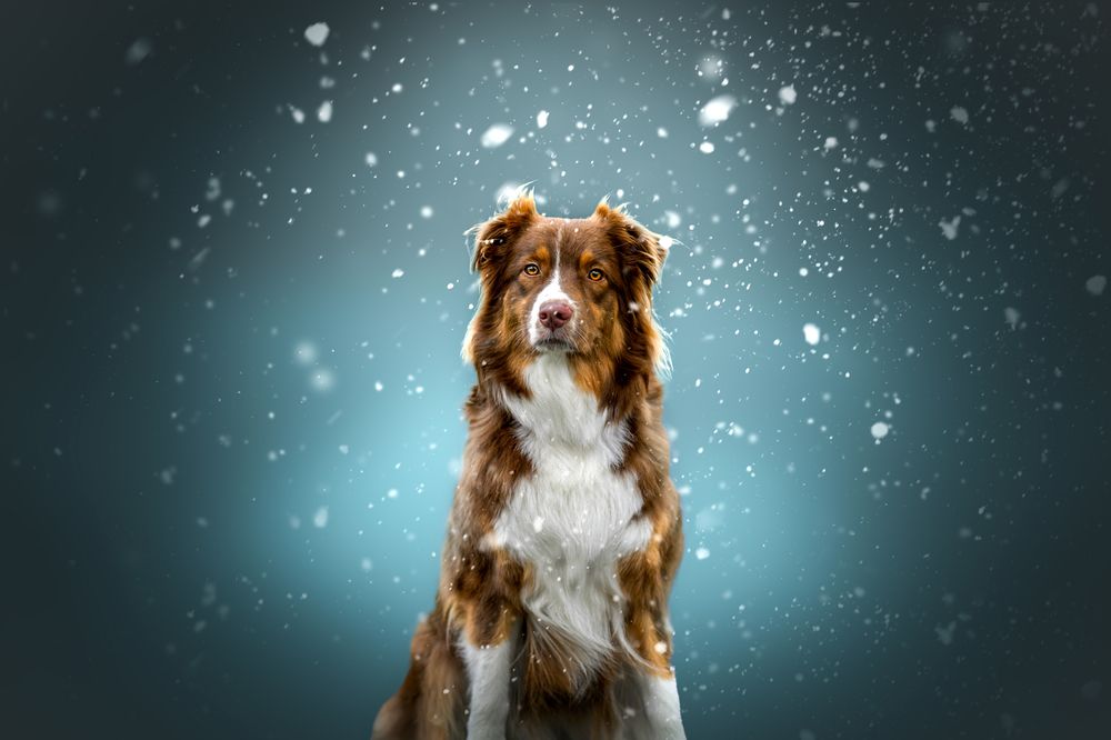 Photograph by Lucie Nermuťová