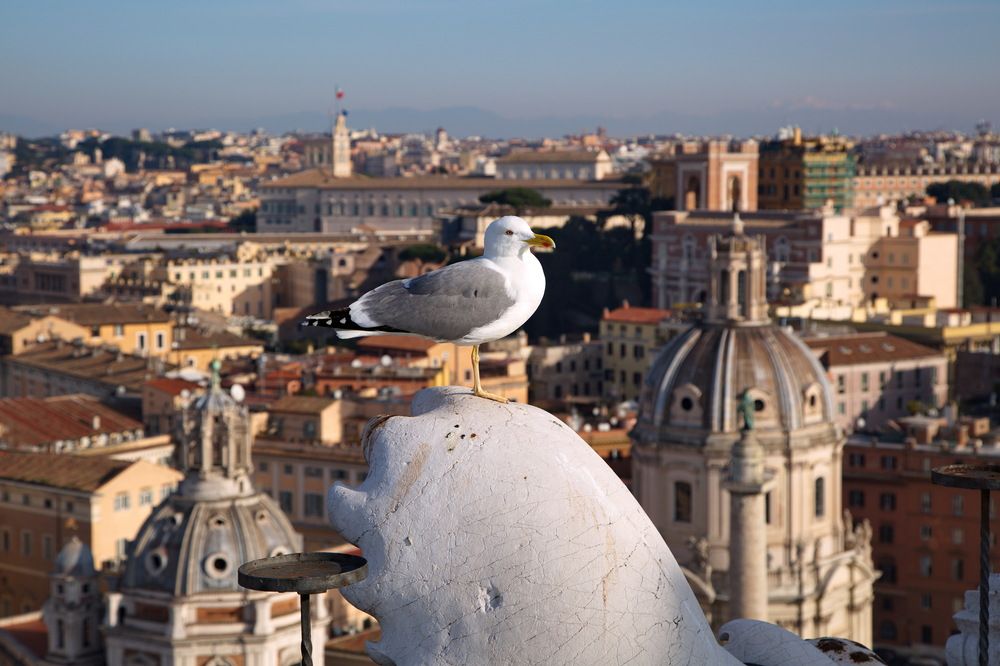 Photograph by Алексей Хазов