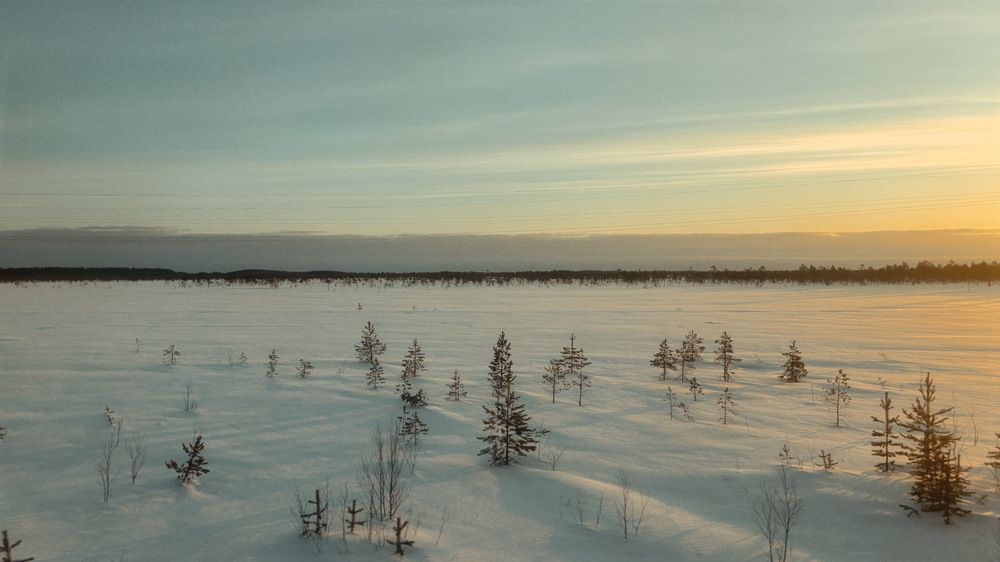 Photograph by Козинец Александр