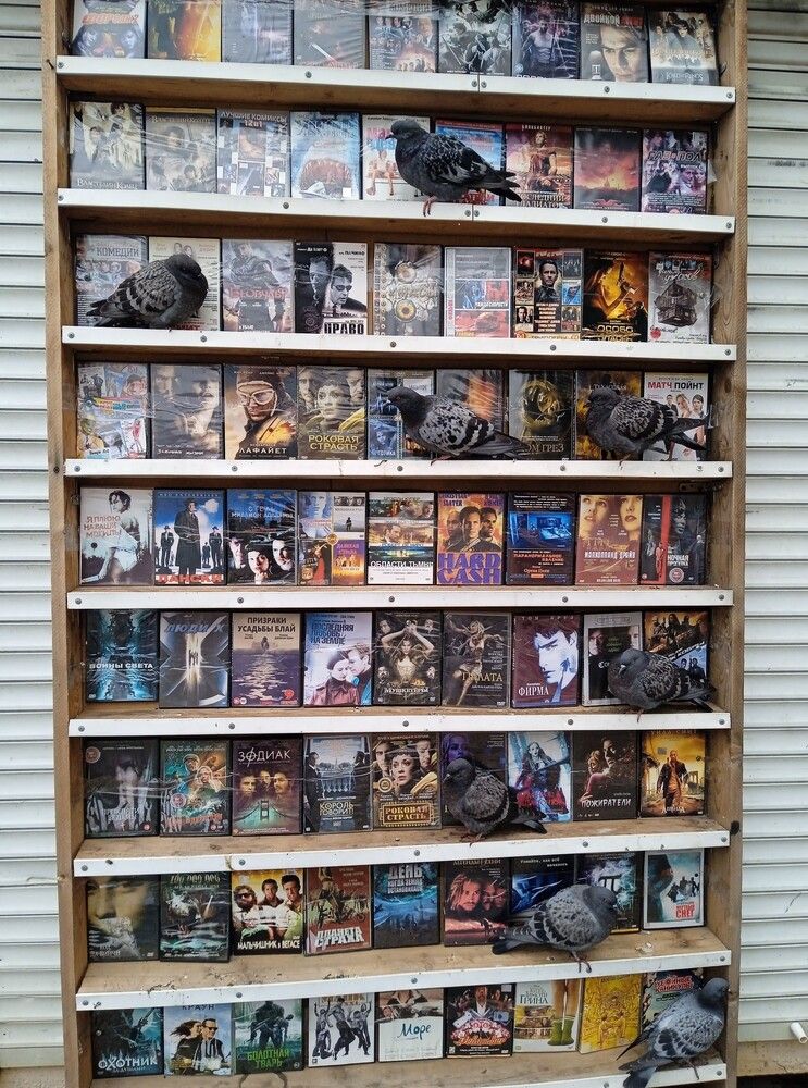 Photograph by Анна