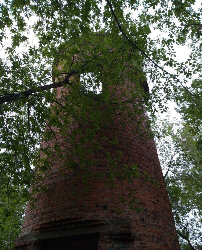 Photograph by СТЕПАН ДЖУЛАКИДЗЕ