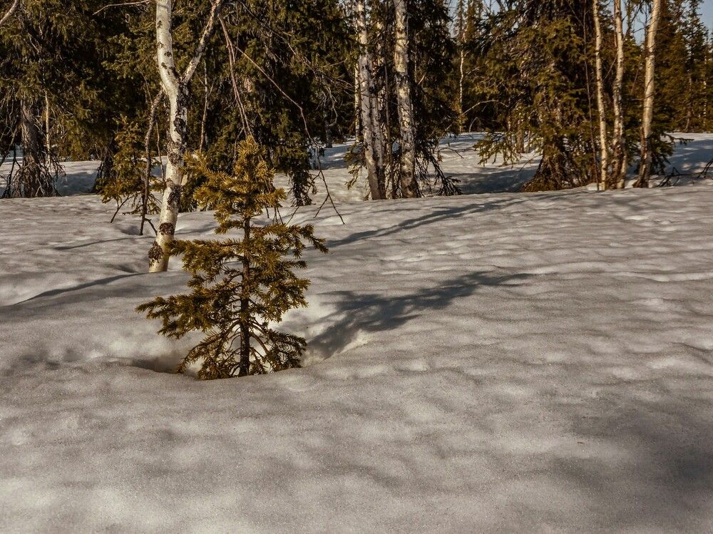 Photograph by Алексей Логинов