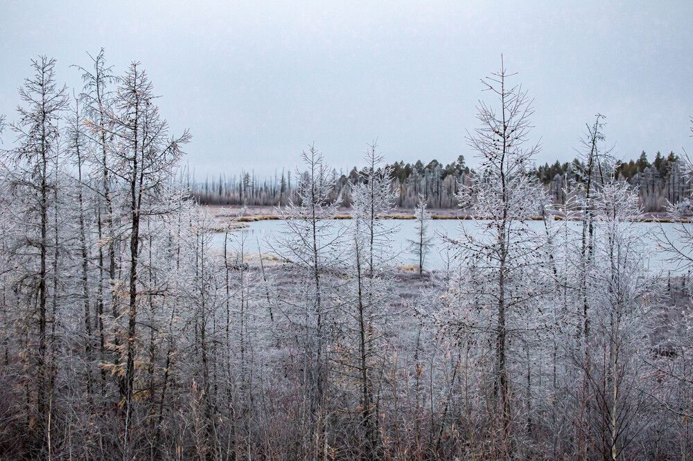 Photograph by Галина Мозолевская