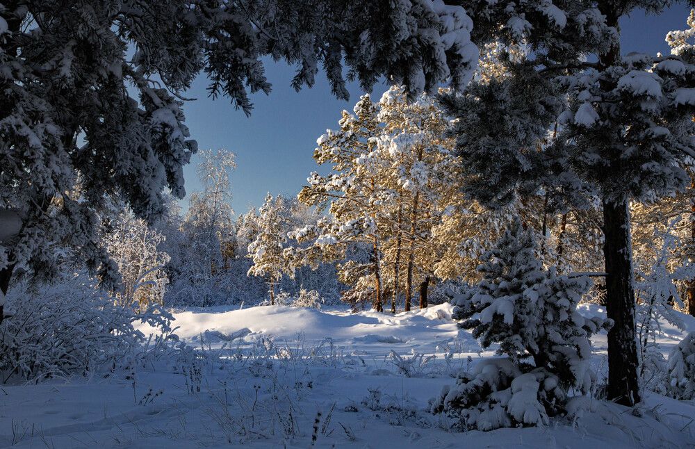 Photograph by Галина Мозолевская