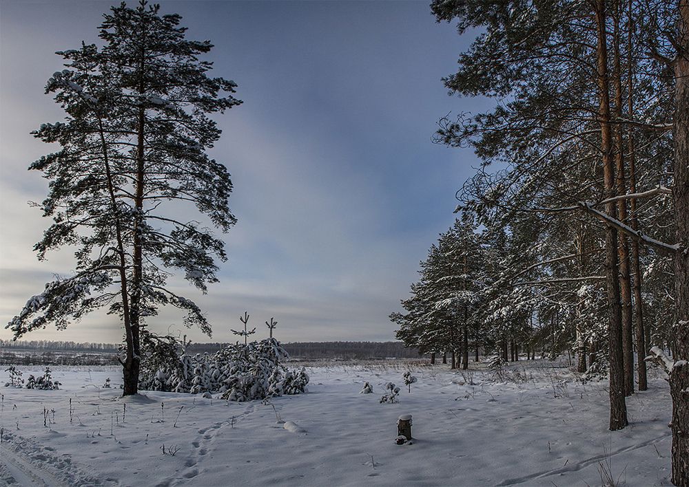 Photograph by Николай Кузьмин