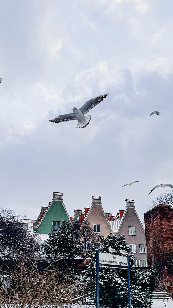 Photograph by Людмила Казак