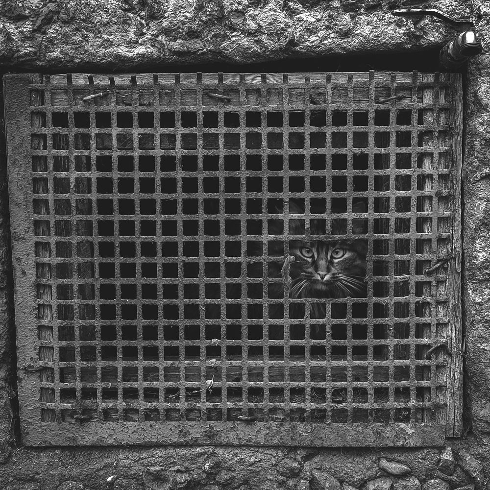 Photograph by Евгений Зачепило