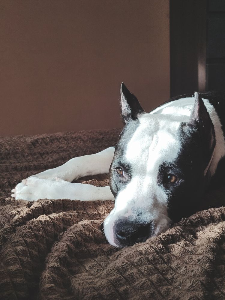 Photograph by Евгений Зачепило