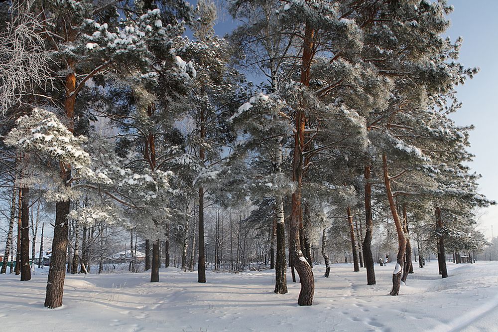 Photograph by Николай Кузьмин