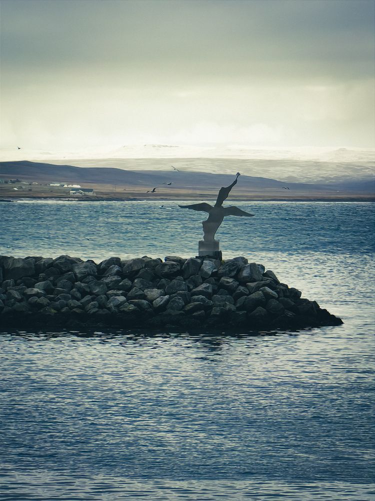 Photograph by Nikolay Nikolay