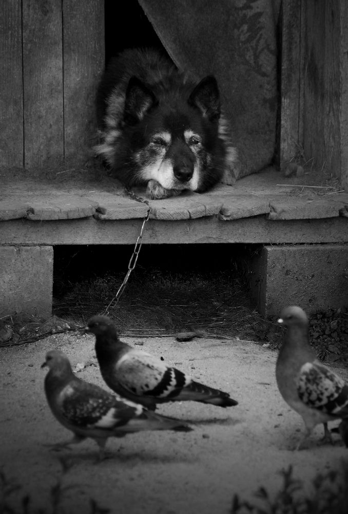 Photograph by Зоя Быкова