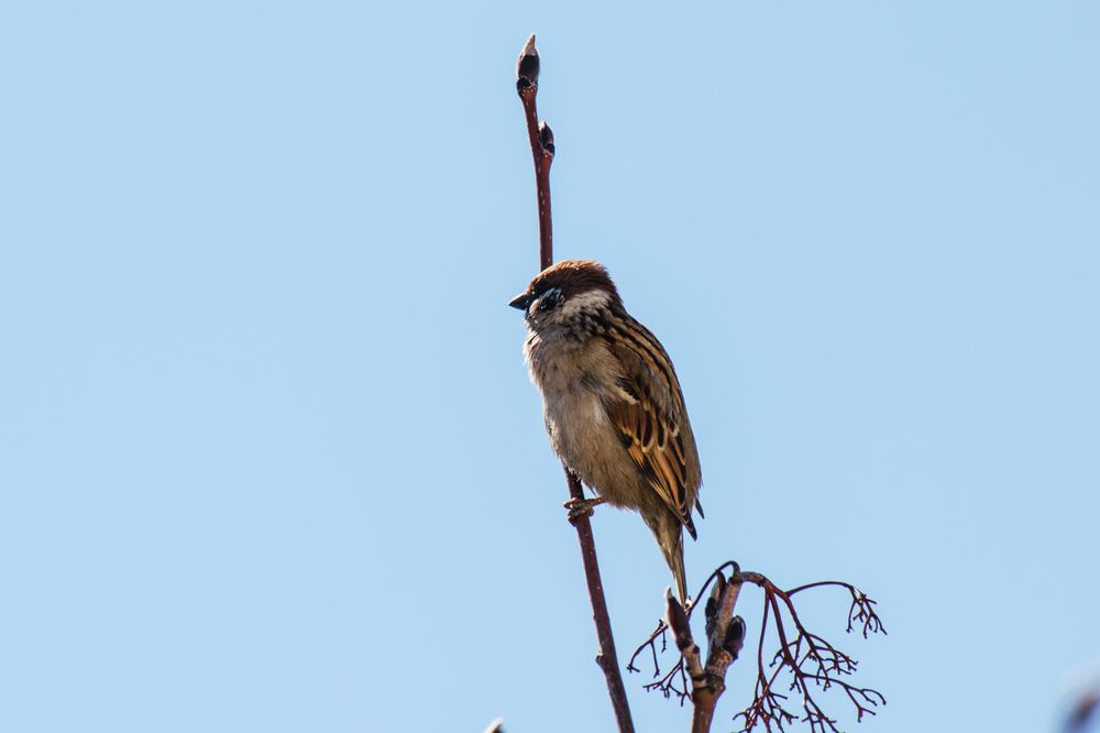 Photograph by Сергей Немчинов