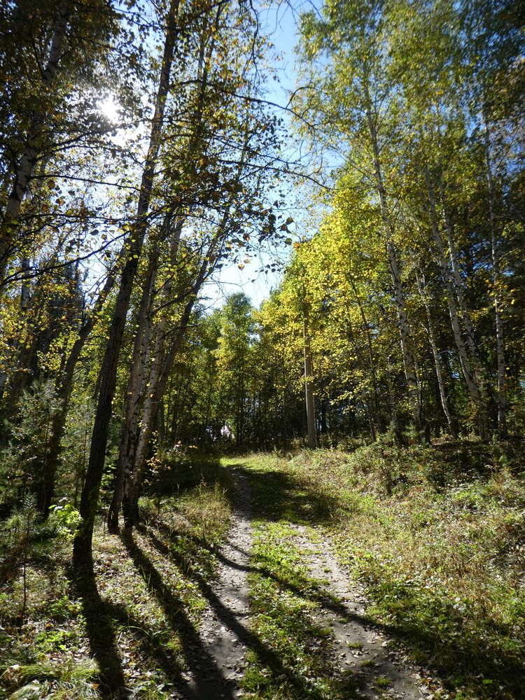 Photograph by Андрей Садчиков