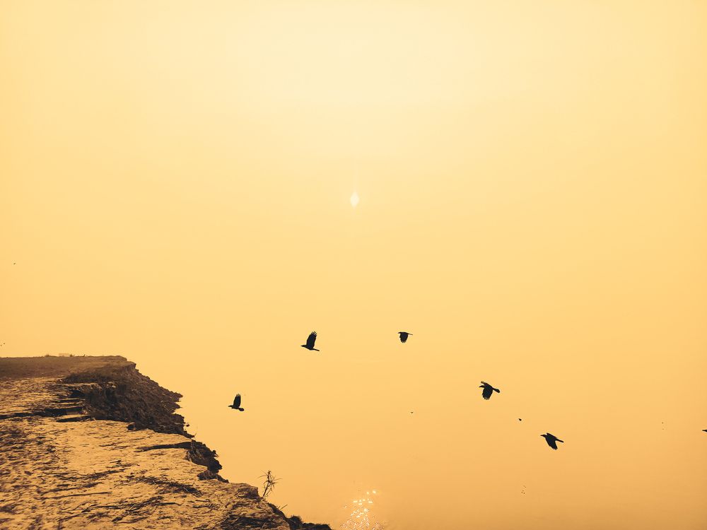 Photograph by Asraf Shovon