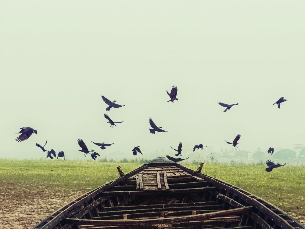 Photograph by Asraf Shovon