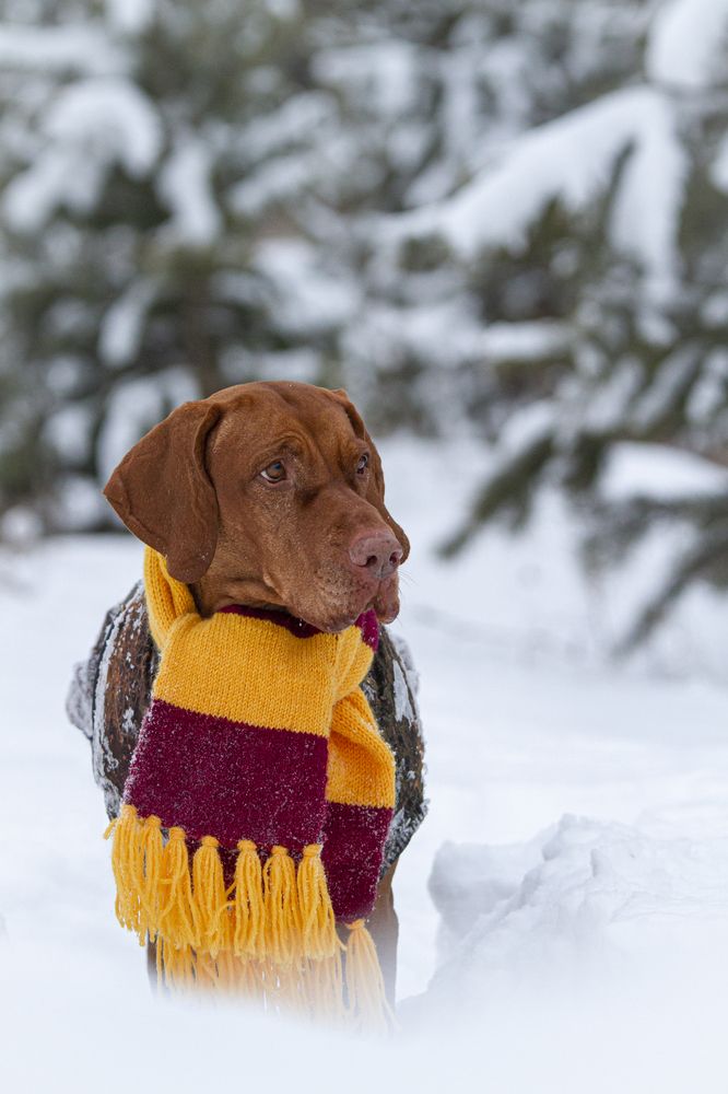 Photograph by Эльнара Исаева