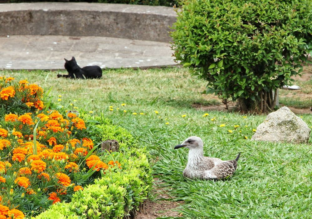 Photograph by Алексей Хазов