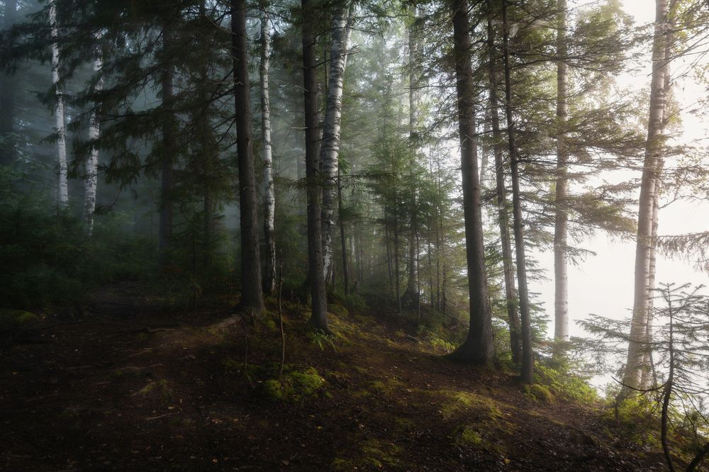 Photograph by Соколова Елена