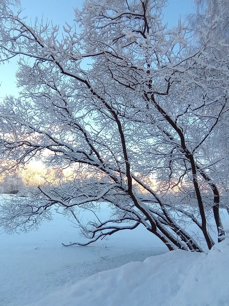 Photograph by Ирина Орлова