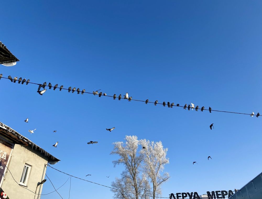 Photograph by Татьяна Шитлина