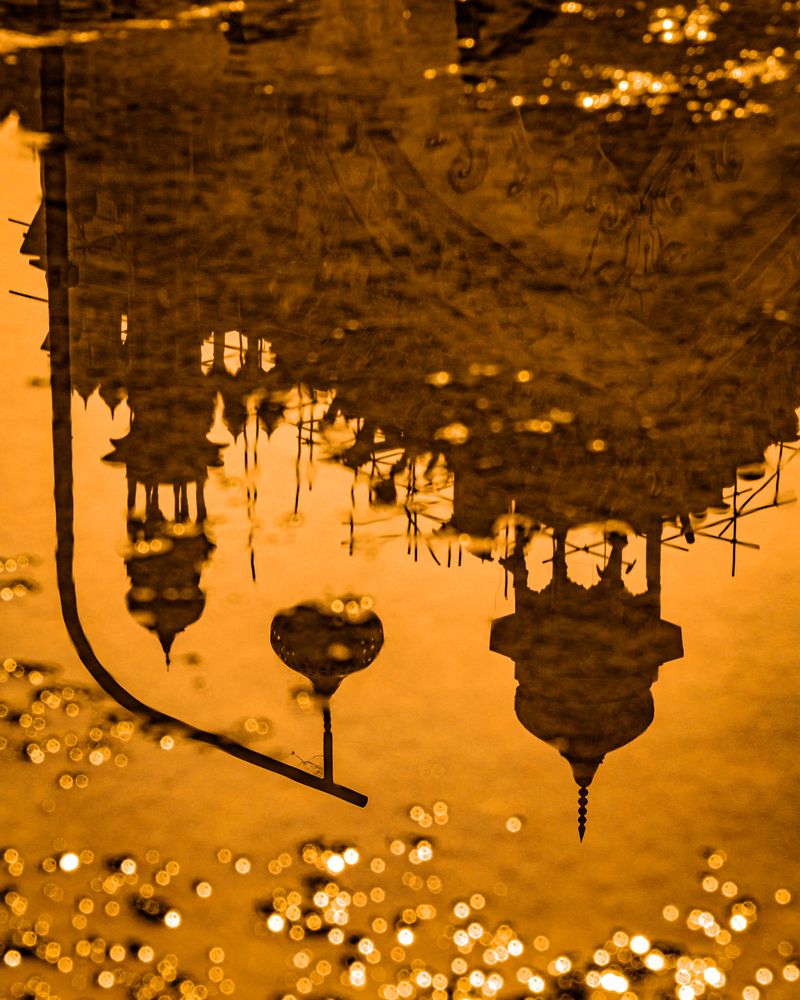 Photograph by Aditya Krishn Jaiswal