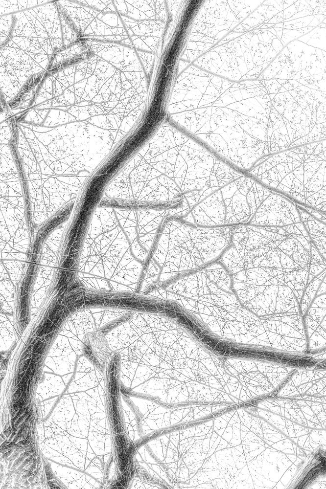 Photograph by Hayasaka Keita