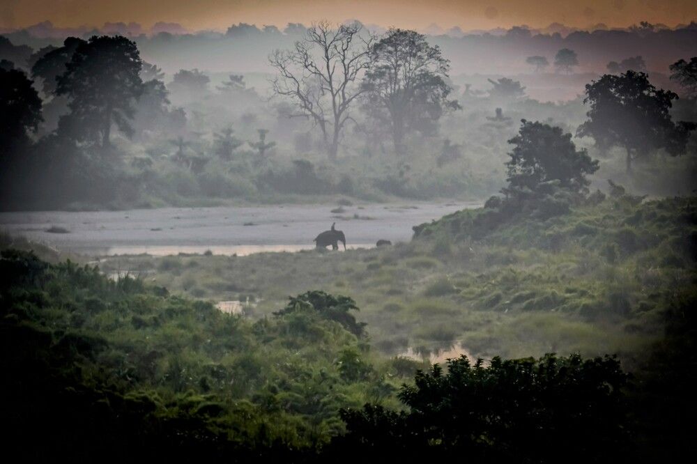 Photograph by Nirup Datta