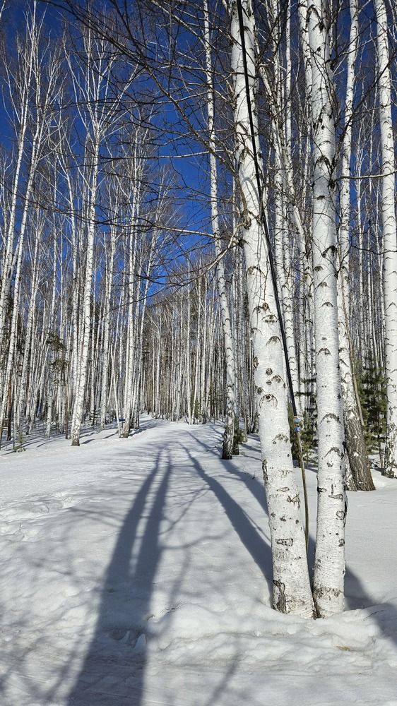 Photograph by Наталья Анисимова