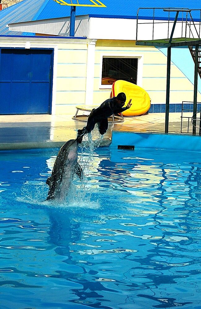 Photograph by Yurii Bykhalov