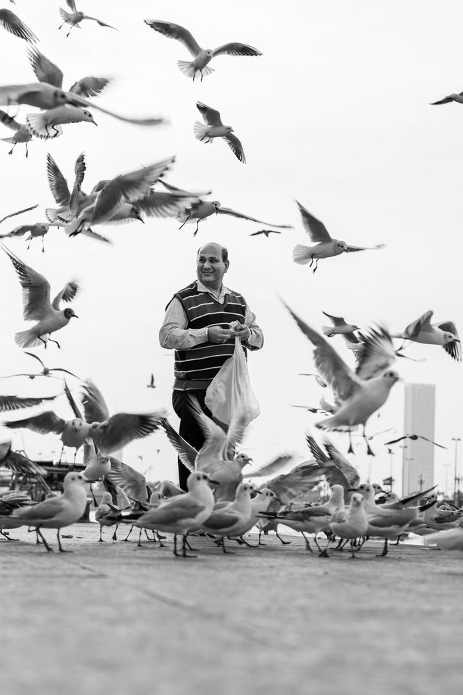 Фотография автора Ahamed Niyaz Alavutheen