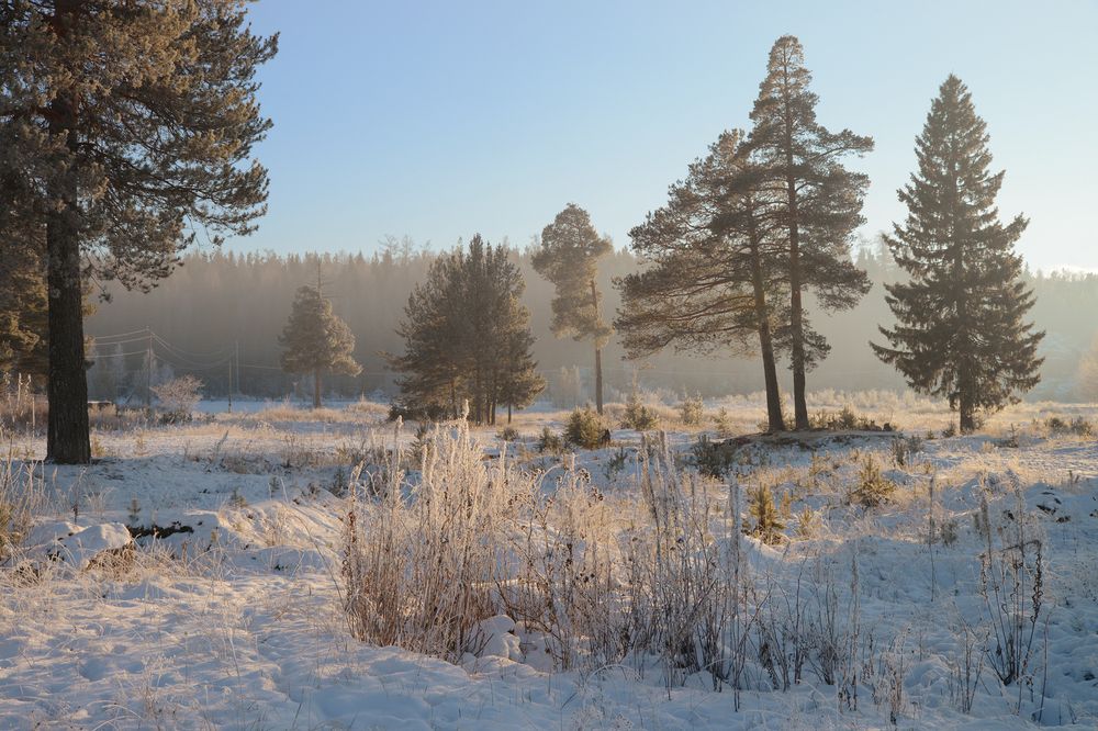 Photograph by Воинков Виктор