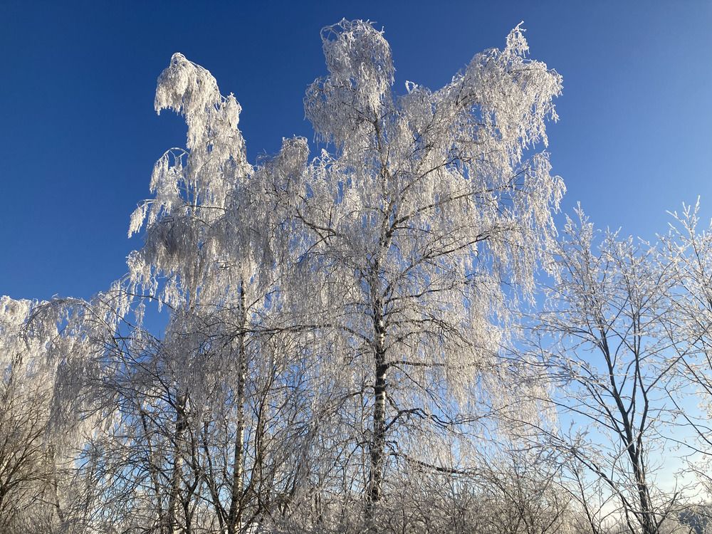 Photograph by Светлана Парамонова