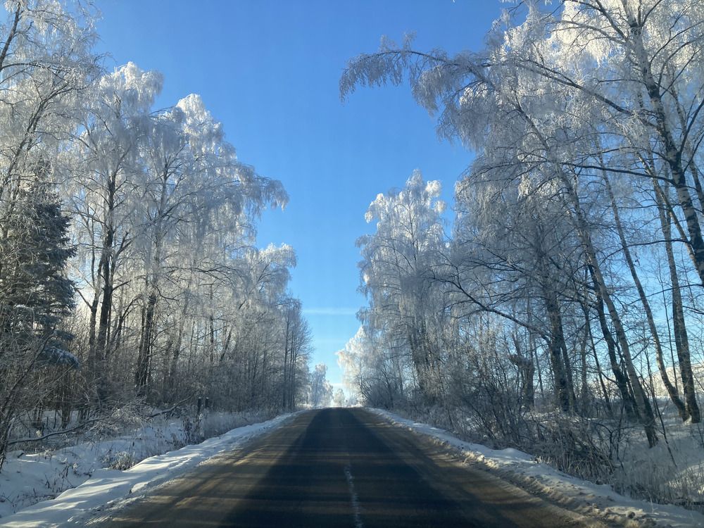 Photograph by Светлана Парамонова