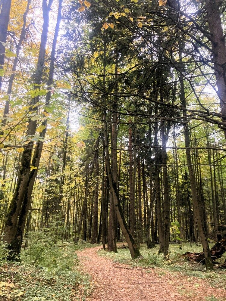 Photograph by Светлана Парамонова