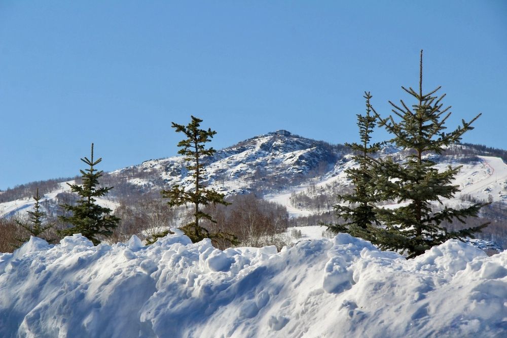 Photograph by Эльза Крюкова